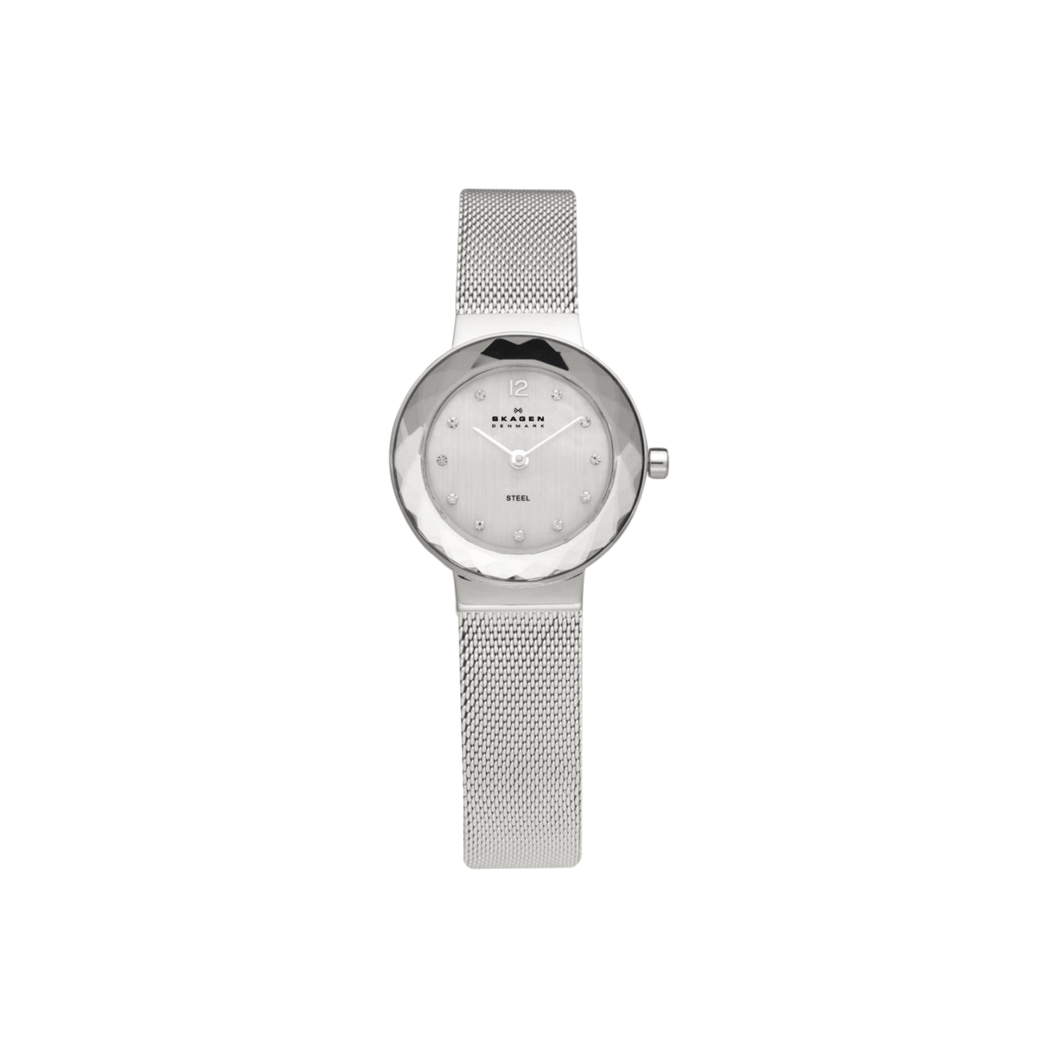 Skagen 456SSS Watch