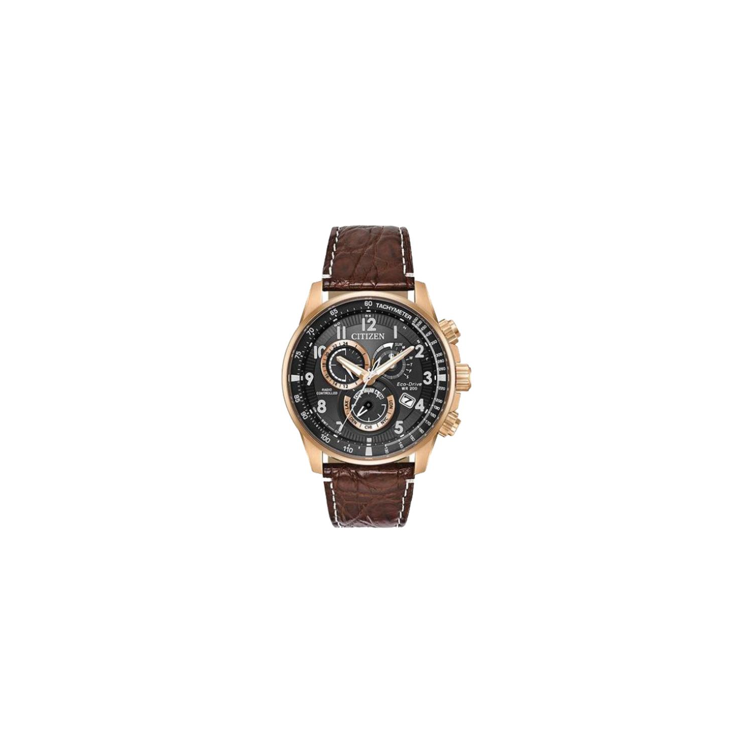 citizen pcat limited edition