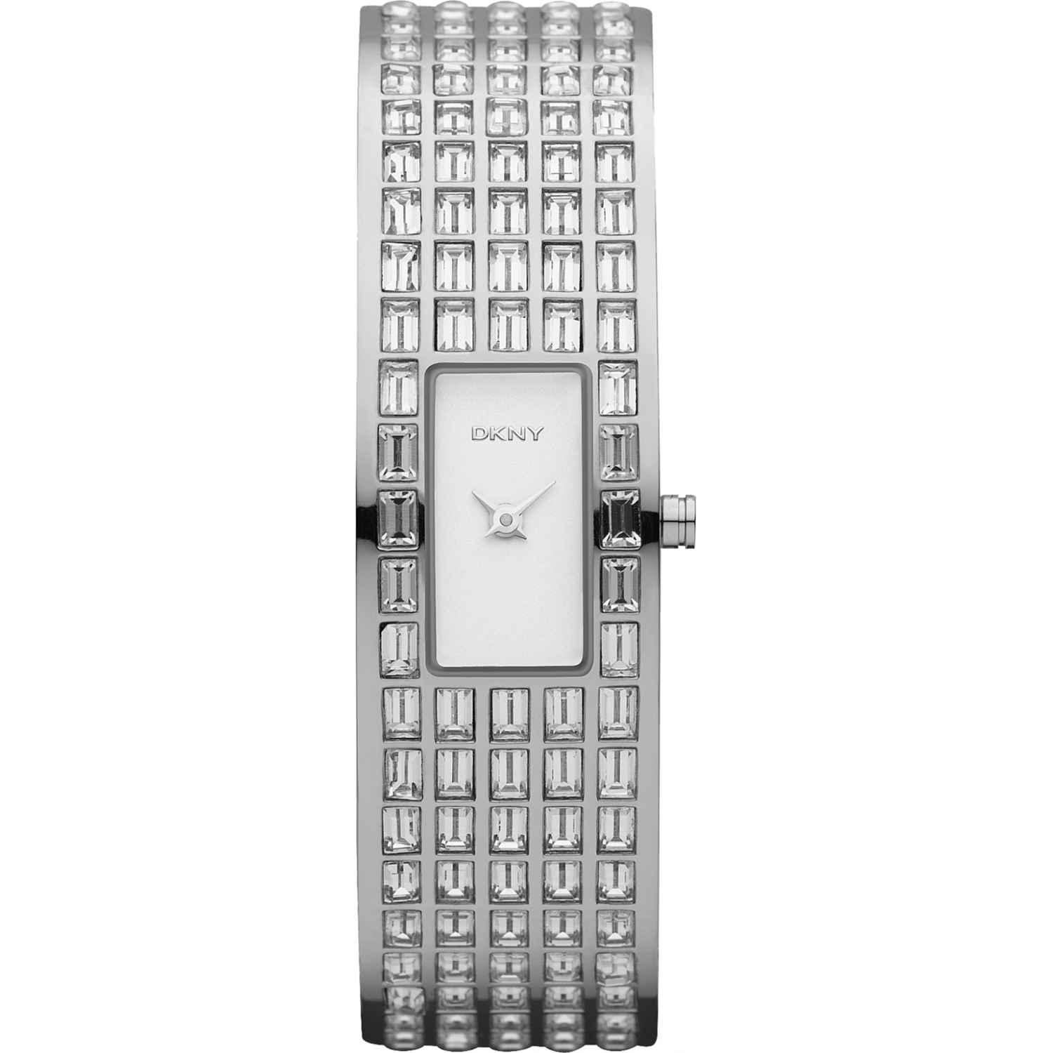 DKNY NY8297 Watch
