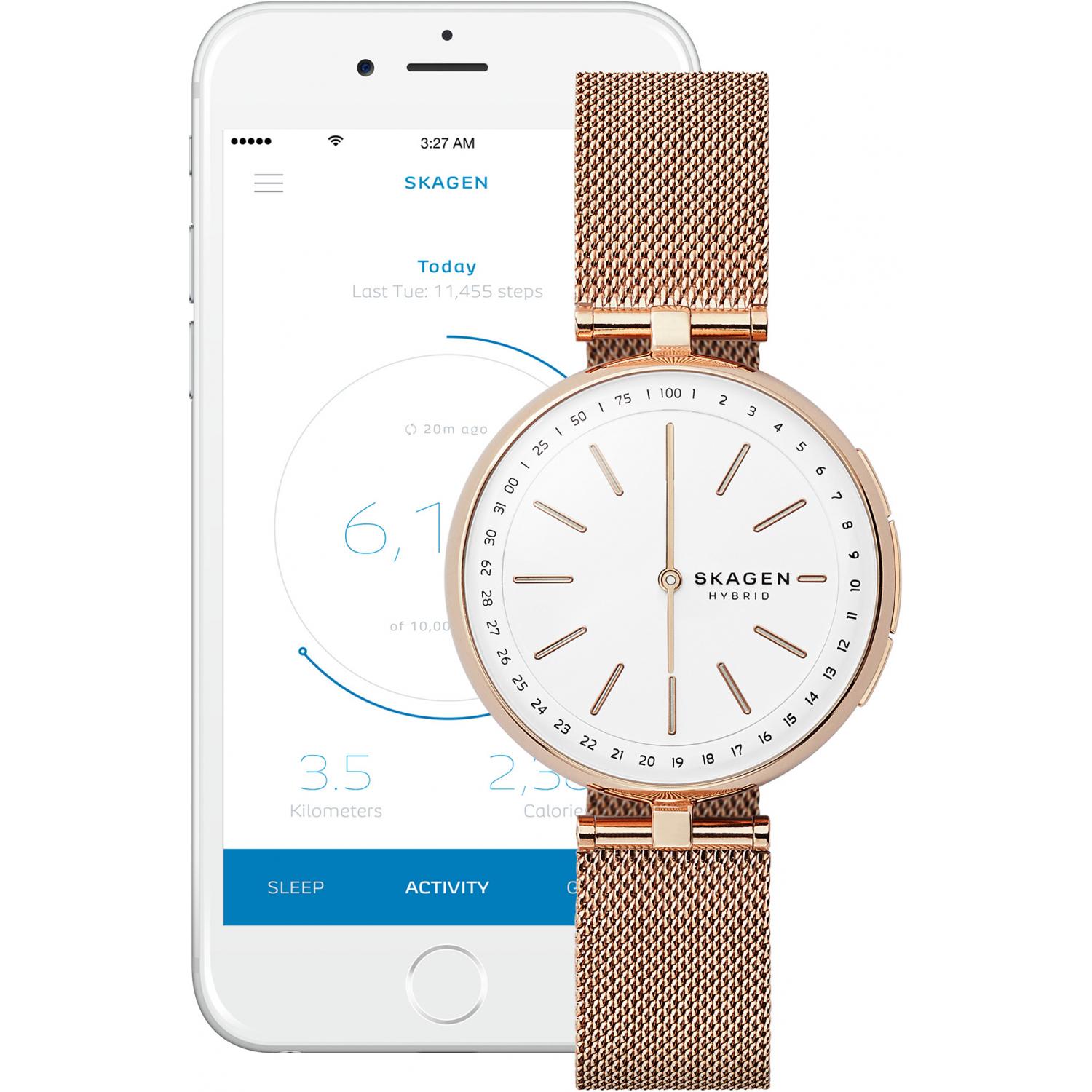 Skagen skt1404 online