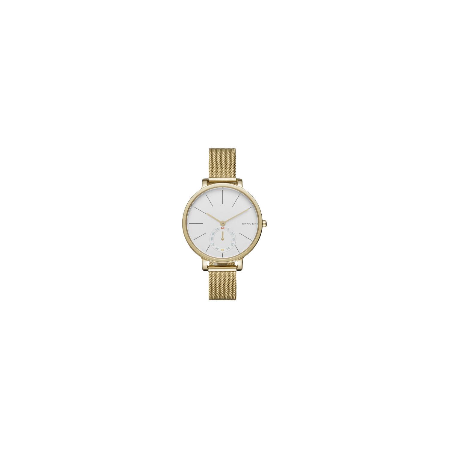 Skagen skw2436 deals