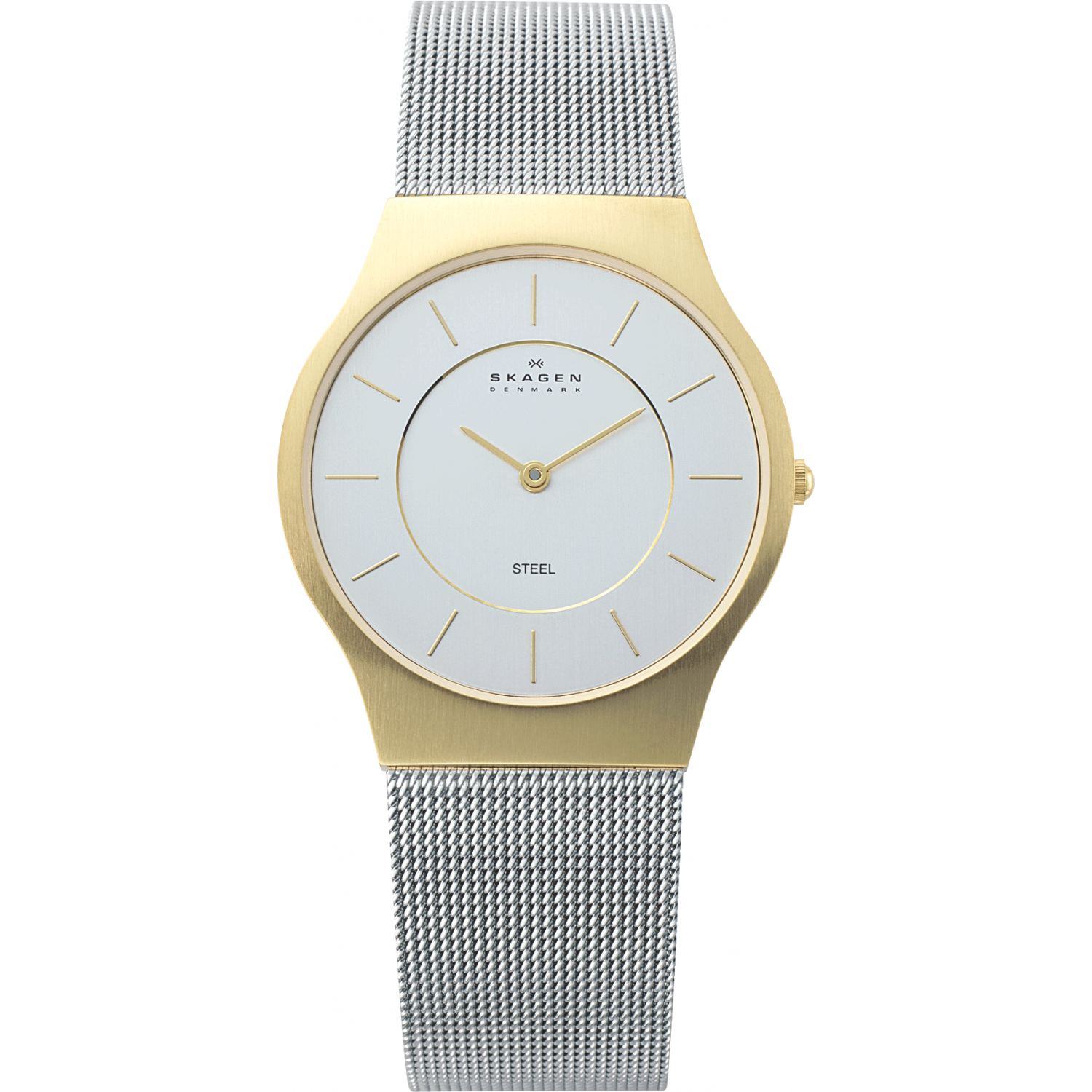Skagen 233LGS Watch