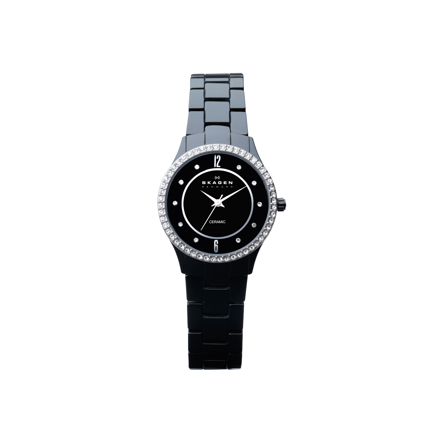Skagen 347SBXBC Watch