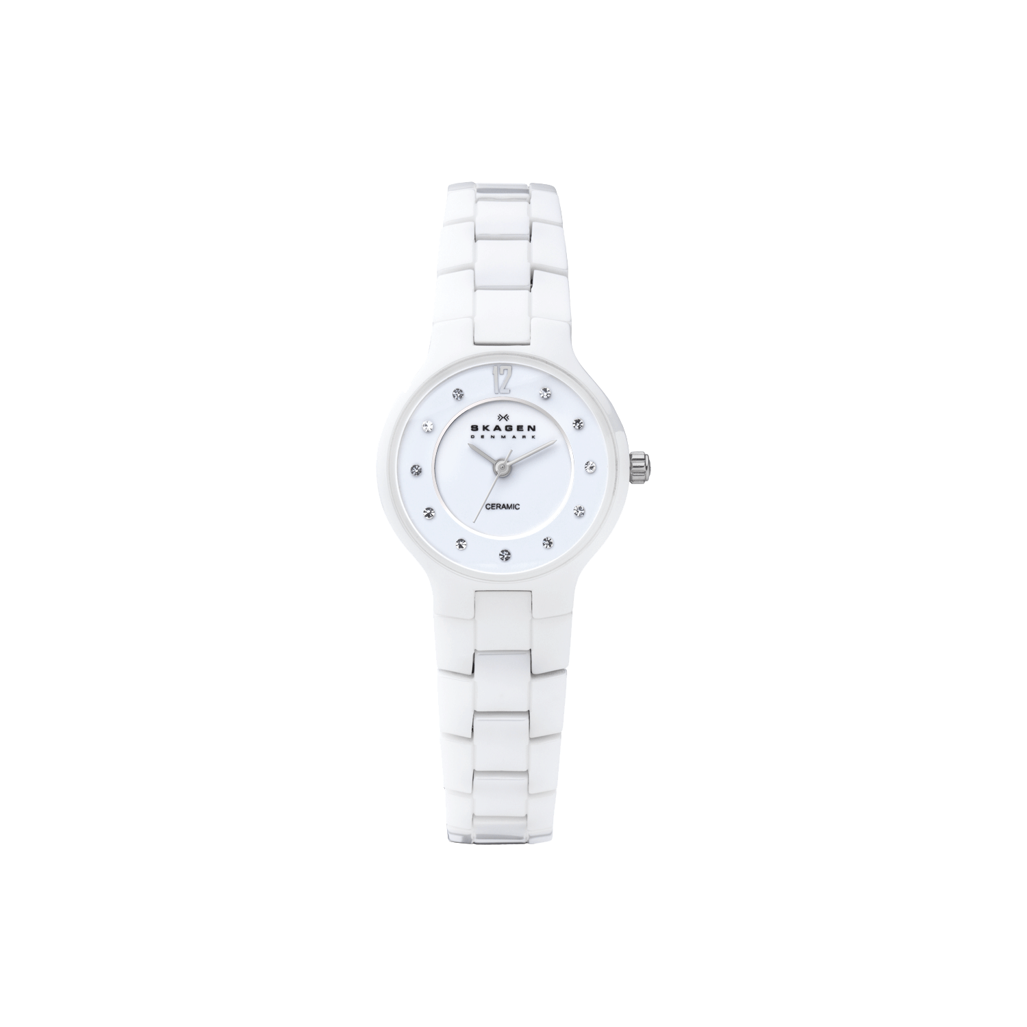Skagen 572SSXWC Watch Shade Station