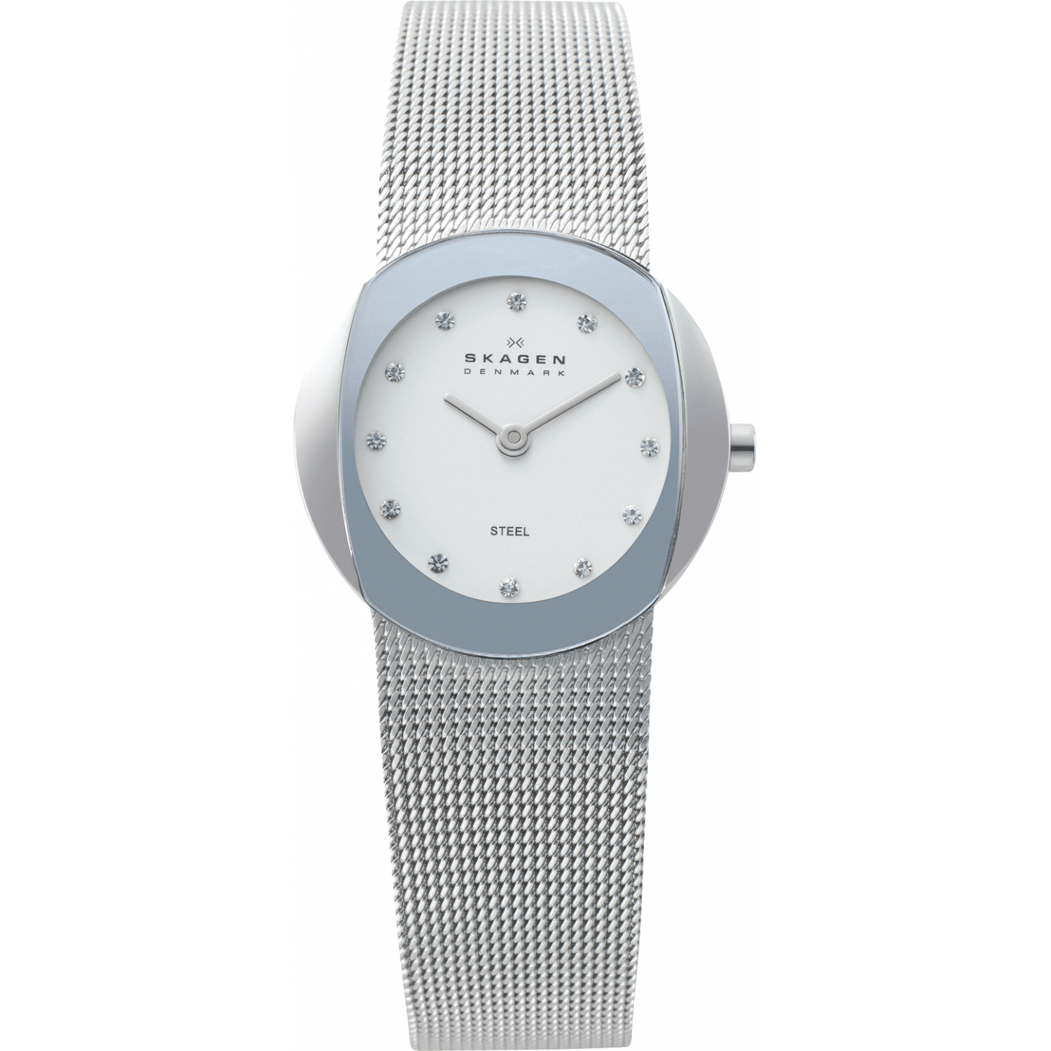 Skagen 589SSS Watch