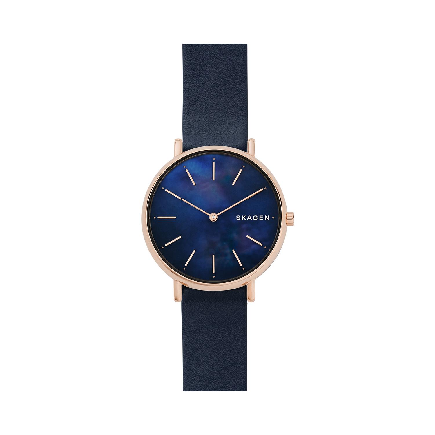 Skagen Signatur Watch