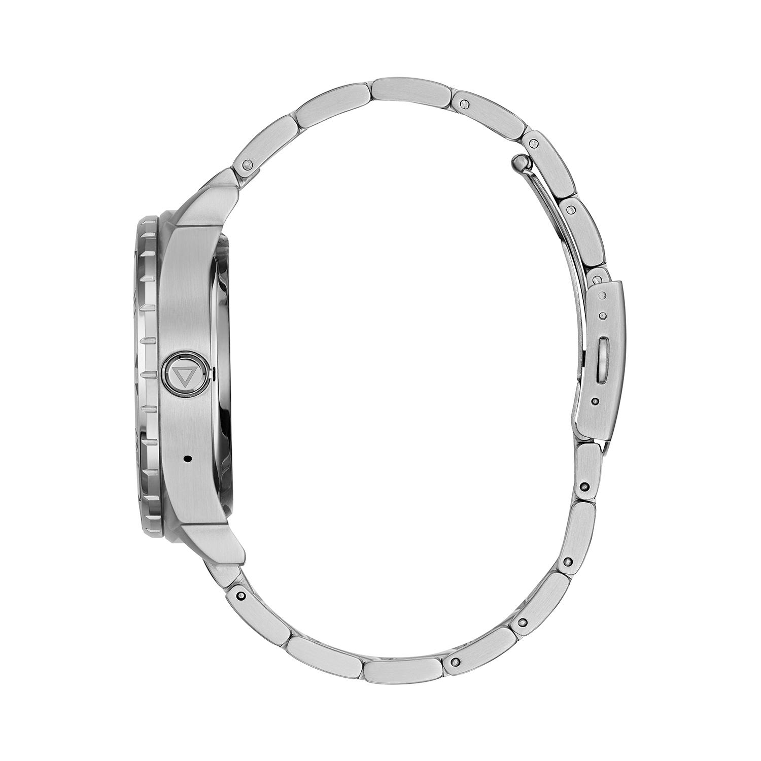 guess c1001g4