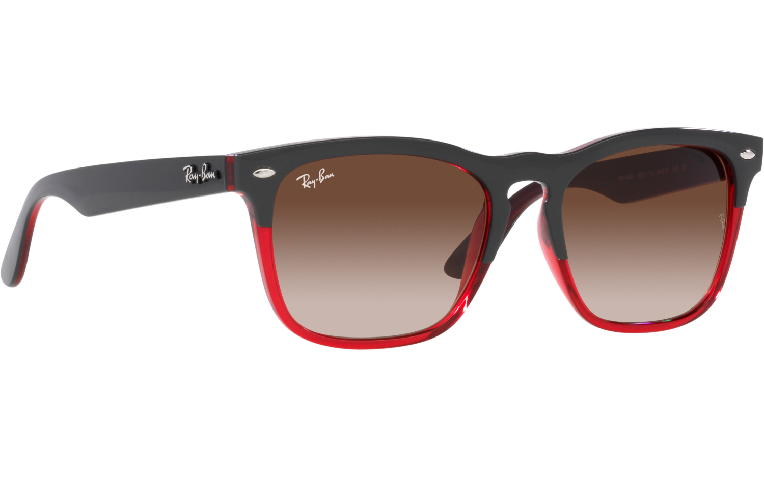 Ray-Ban Steve RB4487 663113 54 Sunglasses | Shade Station