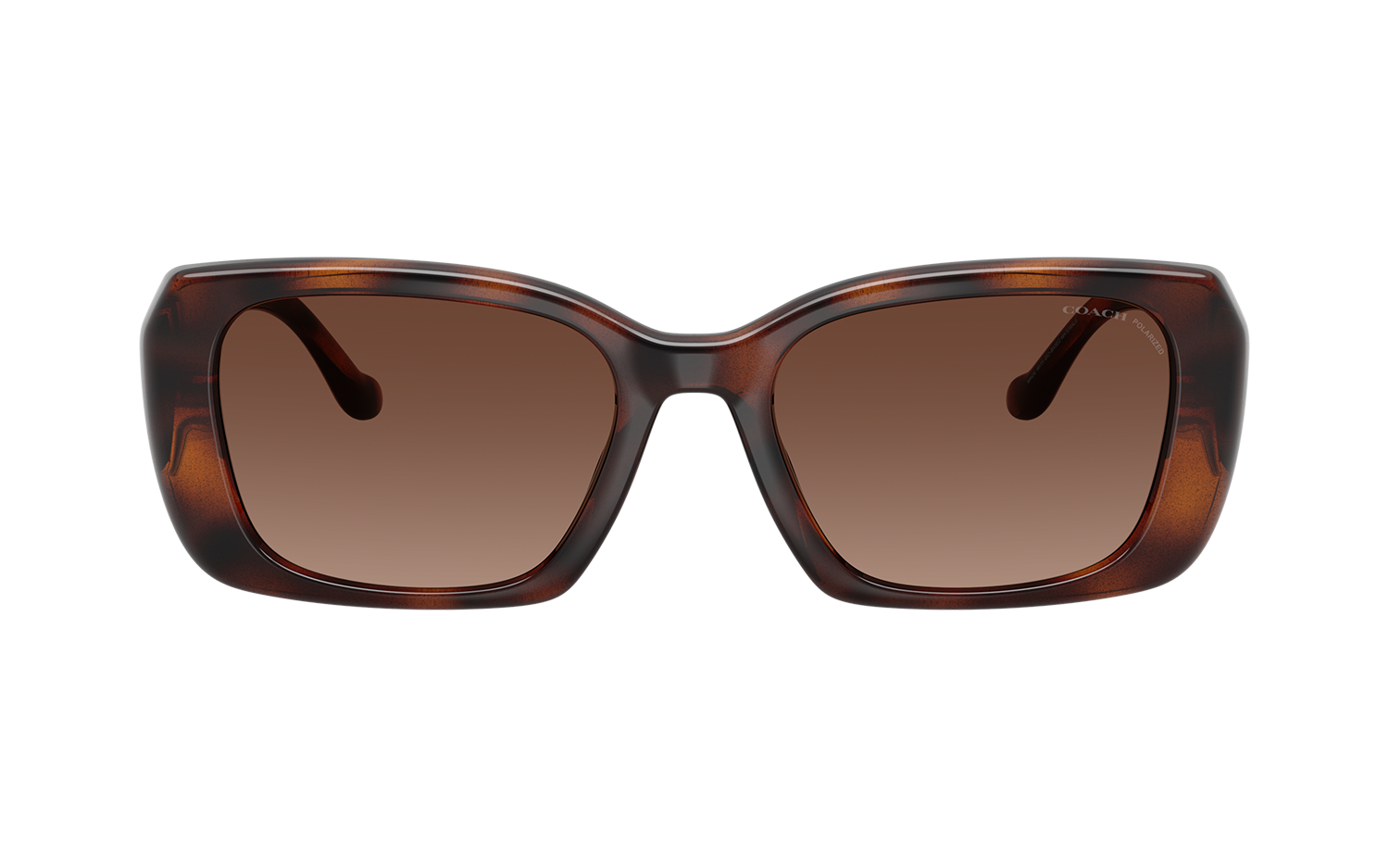 Gallery image for /media/thumbs/100x62.5/media/product_images/Caoch-Sunglasses-HC8435U-5120T5-Bfw100fh62.5.png