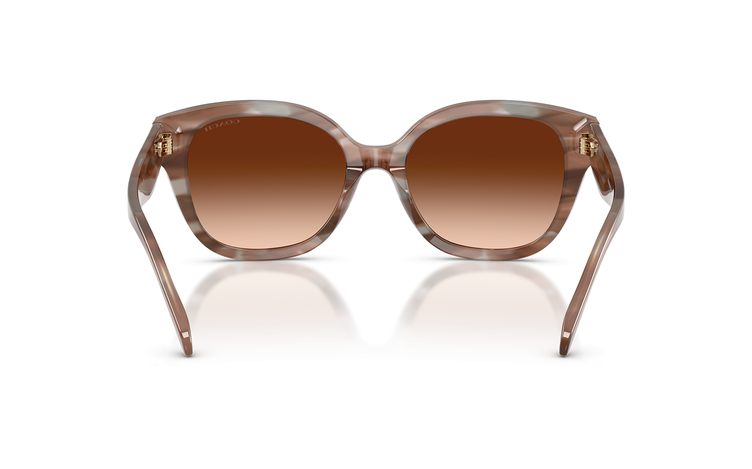 Gallery image for /media/thumbs/100x62.5/media/product_images/Caoch-Sunglasses-HC8438U-590174-Dfw100fh62.5.png
