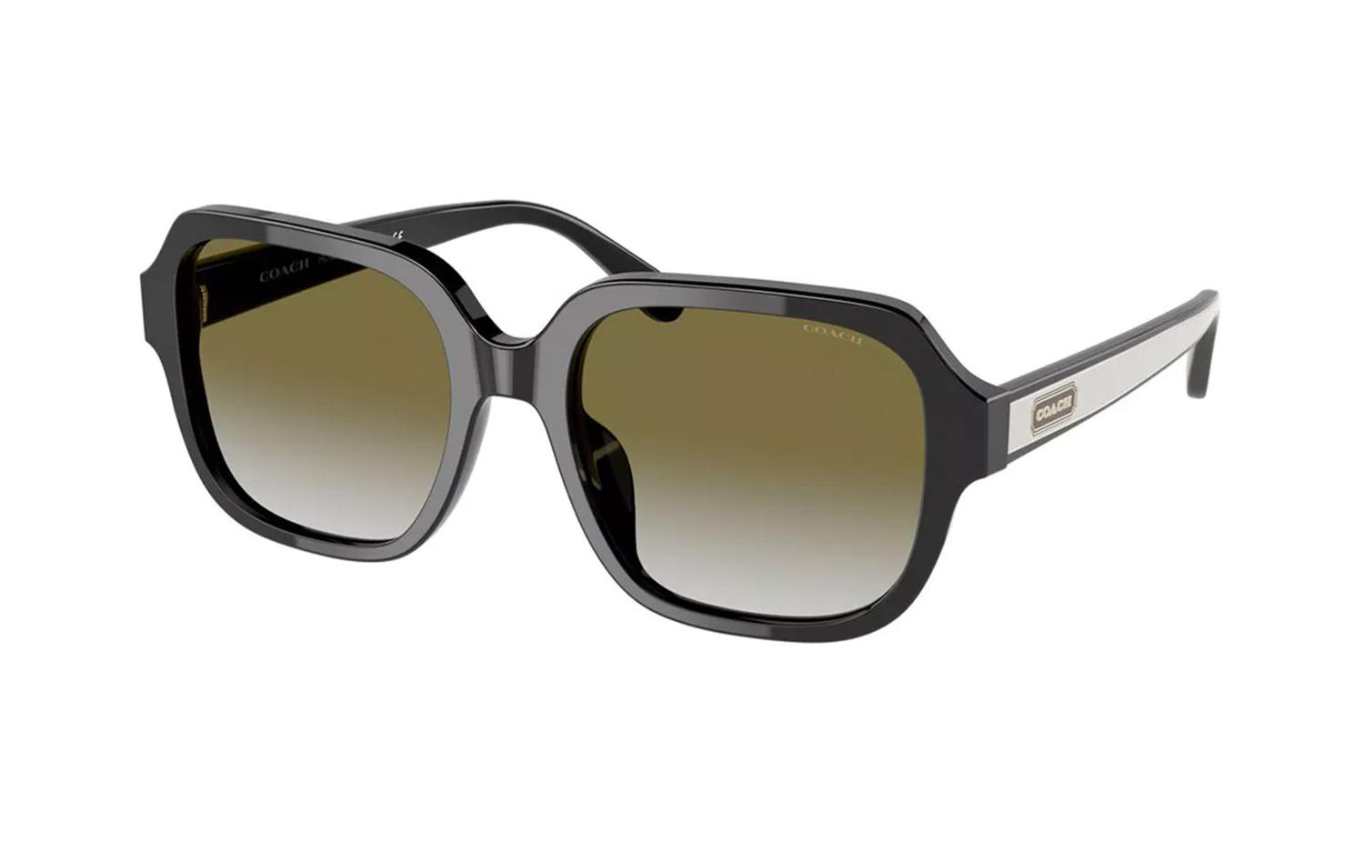 Gallery image for /media/thumbs/100x62.5/media/product_images/Coach-Sunglasses-HC8335U-50027Zfw100fh62.5.jpg
