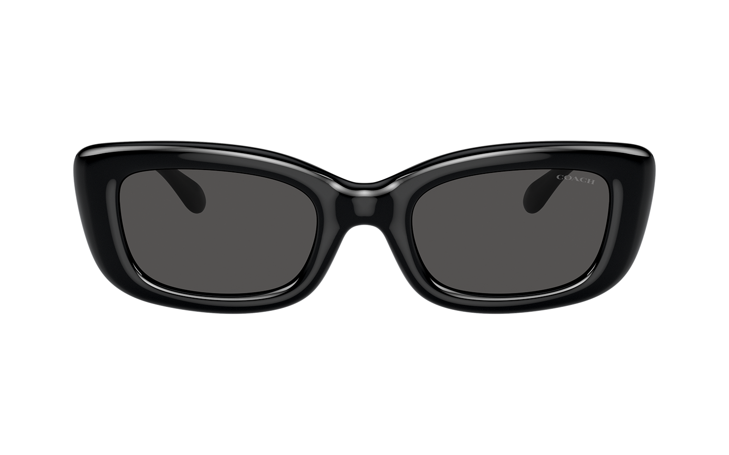 Gallery image for /media/thumbs/100x62.5/media/product_images/Coach-Sunglasses-HC8390U-500287-Bfw100fh62.5.png