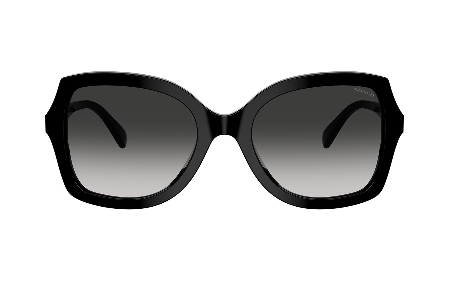 Gallery image for /media/thumbs/100x62.5/media/product_images/Coach-Sunglasses-HC8410U-50023C-Bfw100fh62.5.png