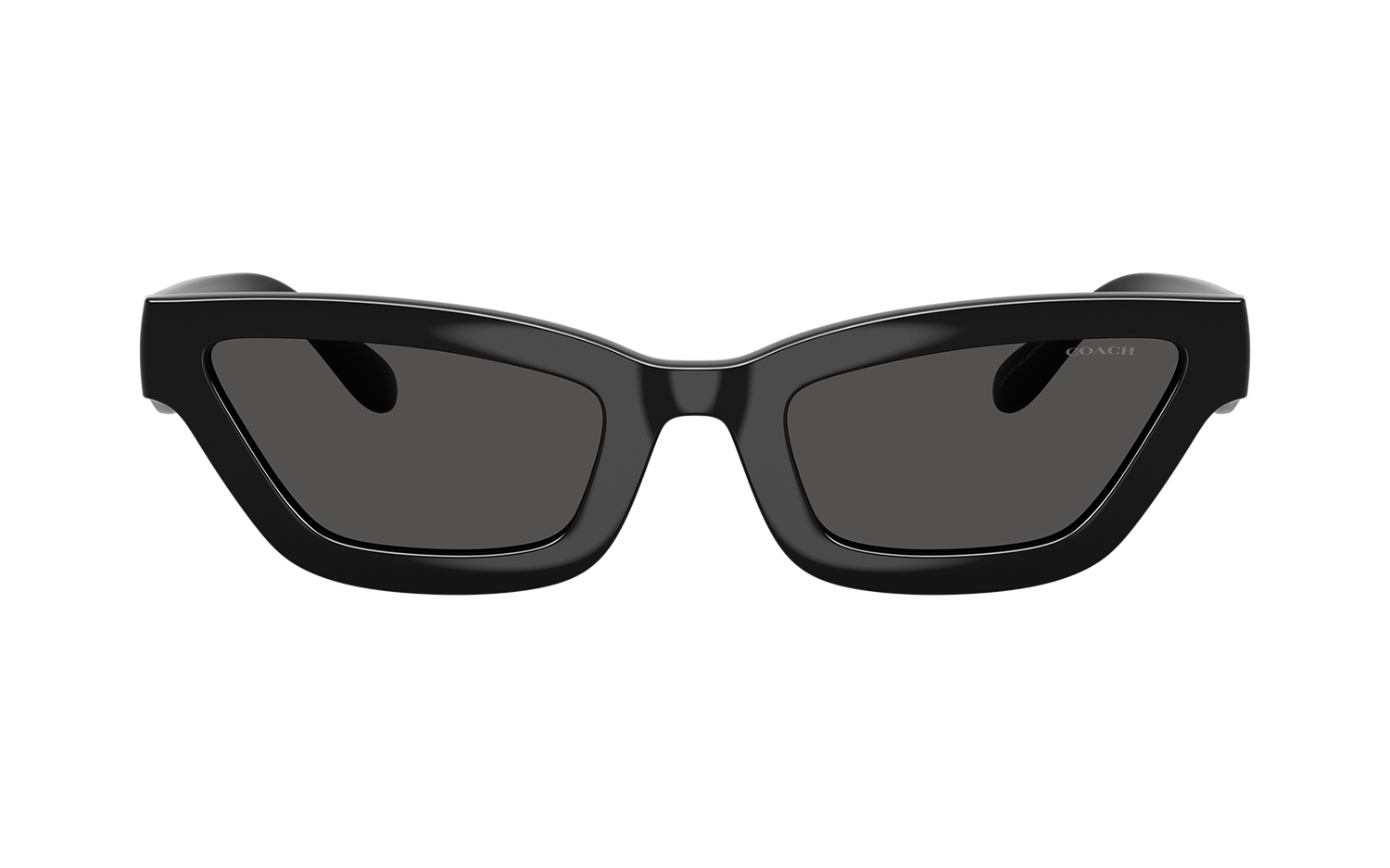 Gallery image for /media/thumbs/100x62.5/media/product_images/Coach-Sunglasses-HC8420U-500287-Bfw100fh62.5.png