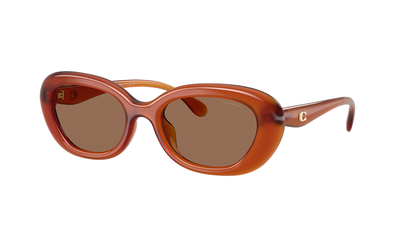 Gallery image for /media/thumbs/100x62.5/media/product_images/Coach-Sunglasses-HC8448U-593073-Afw100fh62.5.png