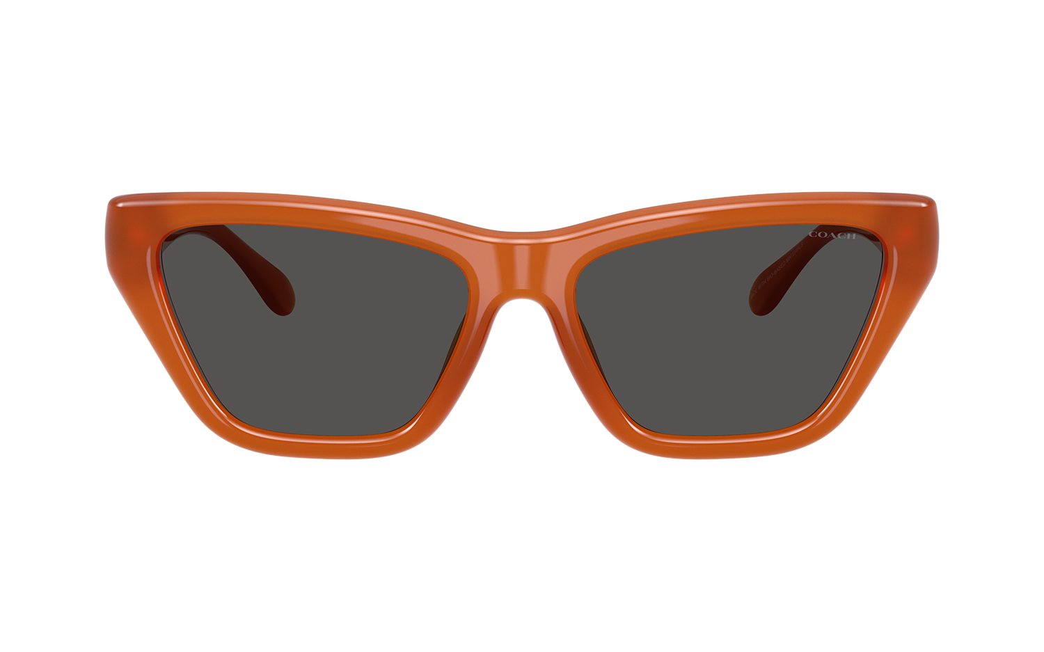 Gallery image for /media/thumbs/100x62.5/media/product_images/Coach-Sunglasses-HC8449U-593087-bfw100fh62.5.png