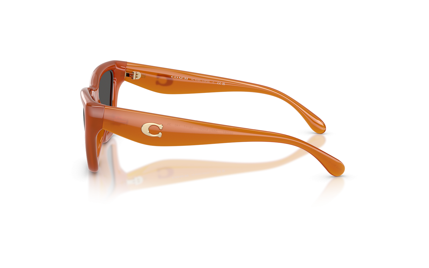 Gallery image for /media/thumbs/100x62.5/media/product_images/Coach-Sunglasses-HC8449U-593087-cfw100fh62.5.png