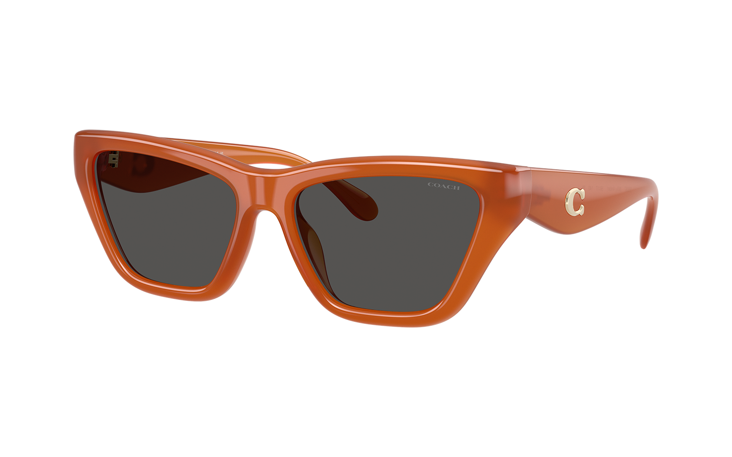 Gallery image for /media/thumbs/100x62.5/media/product_images/Coach-Sunglasses-HC8449U-593087fw100fh62.5.png