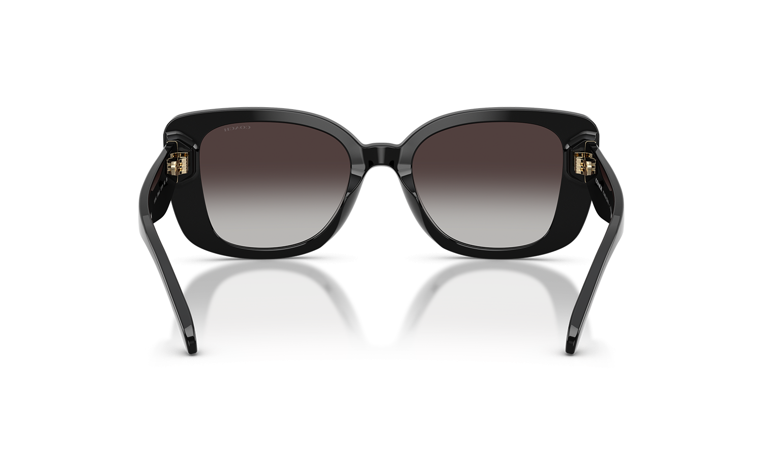 Gallery image for /media/thumbs/100x62.5/media/product_images/Coach-Sunglasses-HC8450U-50028G-Cfw100fh62.5.png