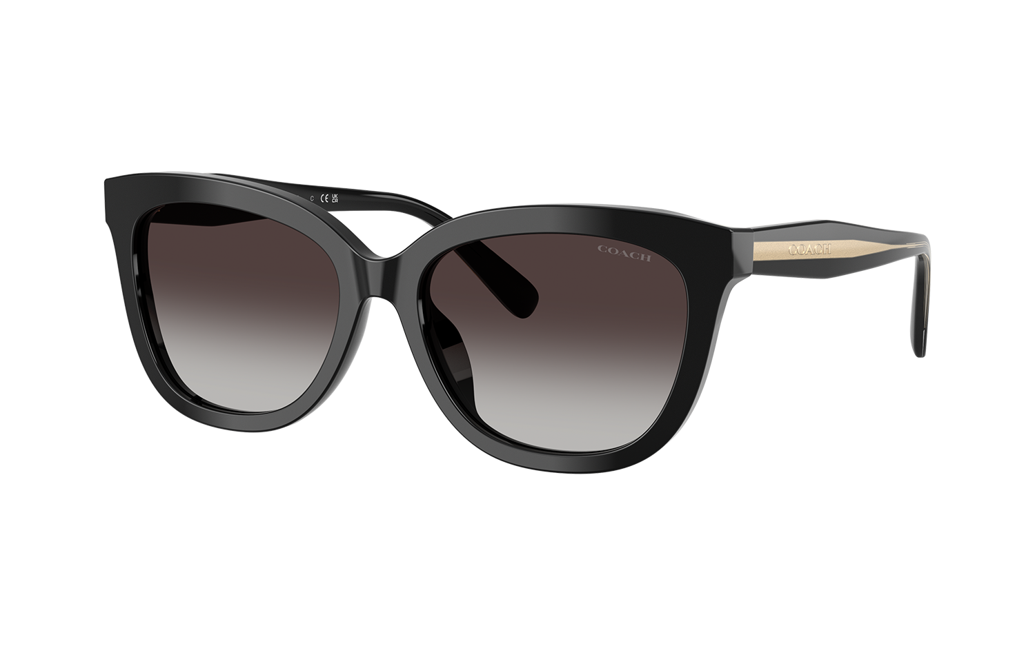 Gallery image for /media/thumbs/100x62.5/media/product_images/Coach-Sunglasses-HC8453U-50028G-Afw100fh62.5.png