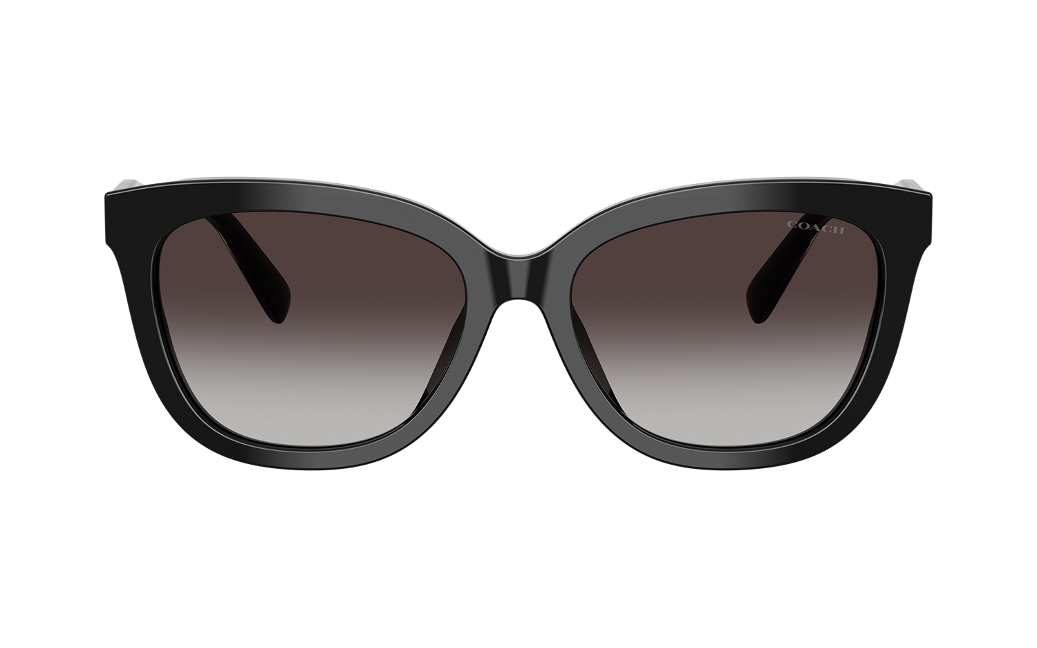 Gallery image for /media/thumbs/100x62.5/media/product_images/Coach-Sunglasses-HC8453U-50028G-Bfw100fh62.5.png