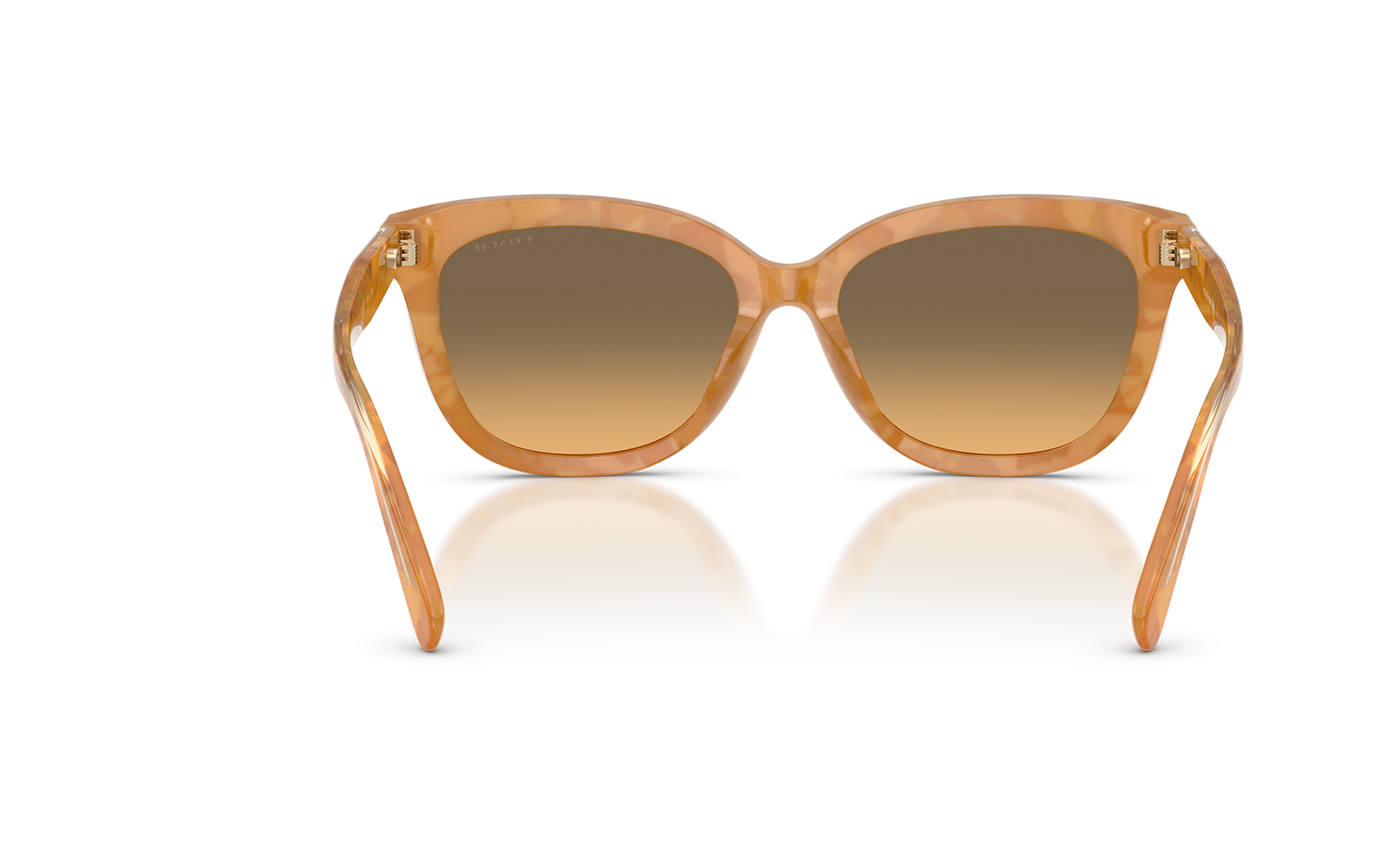 Gallery image for /media/thumbs/100x62.5/media/product_images/Coach-Sunglasses-HC8453U-593911-Cfw100fh62.5.png