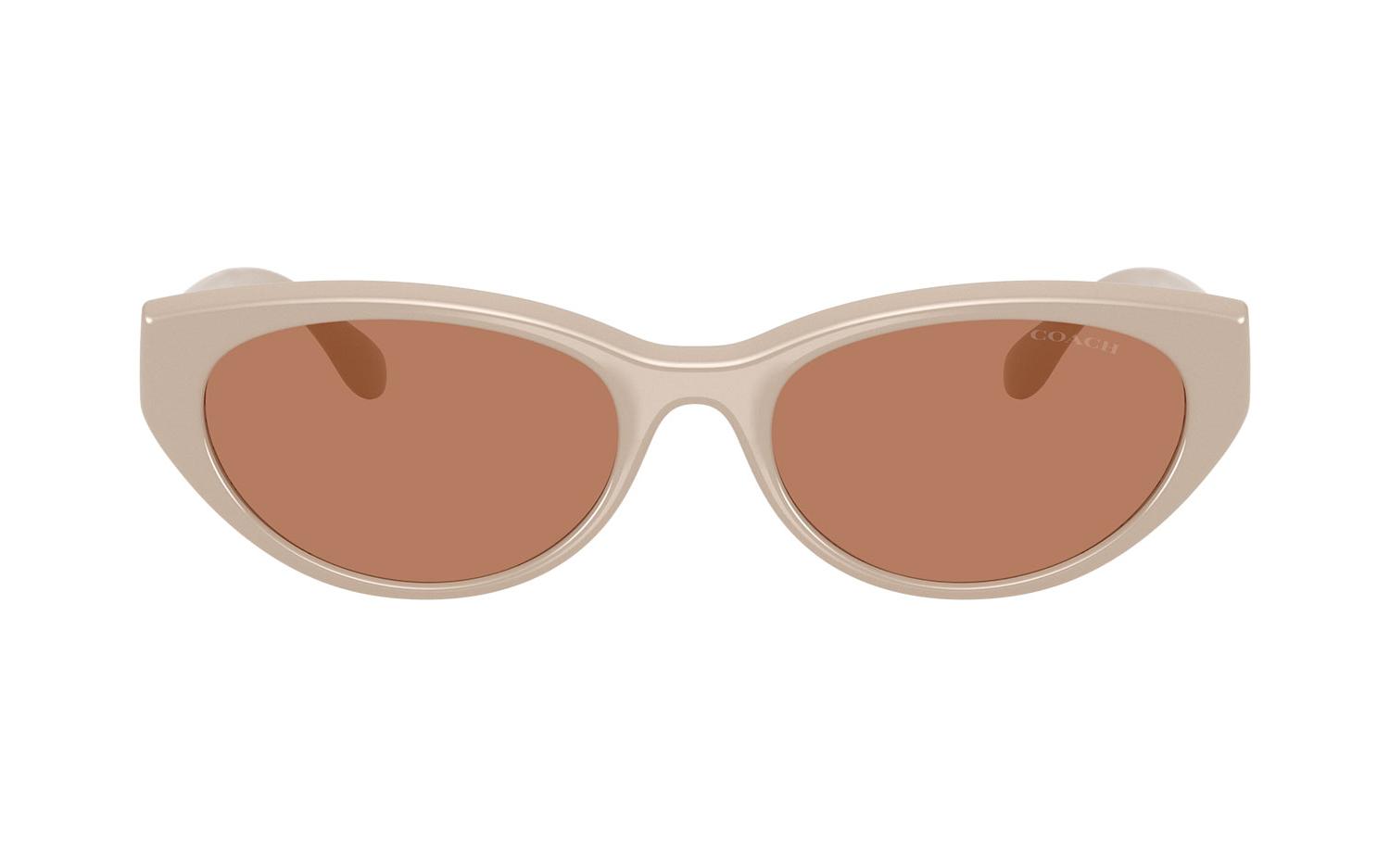 Gallery image for /media/thumbs/100x62.5/media/product_images/Coach-Sunglasses-HC8456D-58843-bfw100fh62.5.jpg