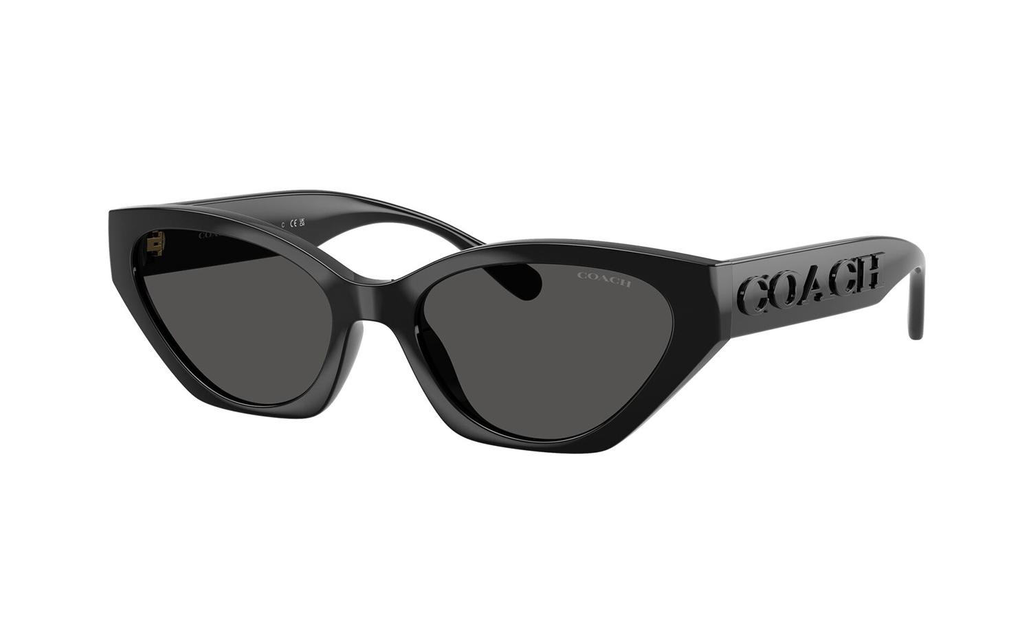 Gallery image for /media/thumbs/100x62.5/media/product_images/Coach-Sunglasses-HC8459U-500287-Afw100fh62.5.jpg