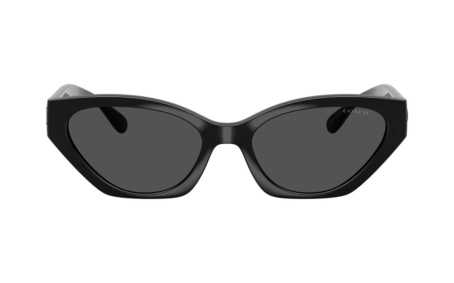 Gallery image for /media/thumbs/100x62.5/media/product_images/Coach-Sunglasses-HC8459U-500287-Bfw100fh62.5.jpg