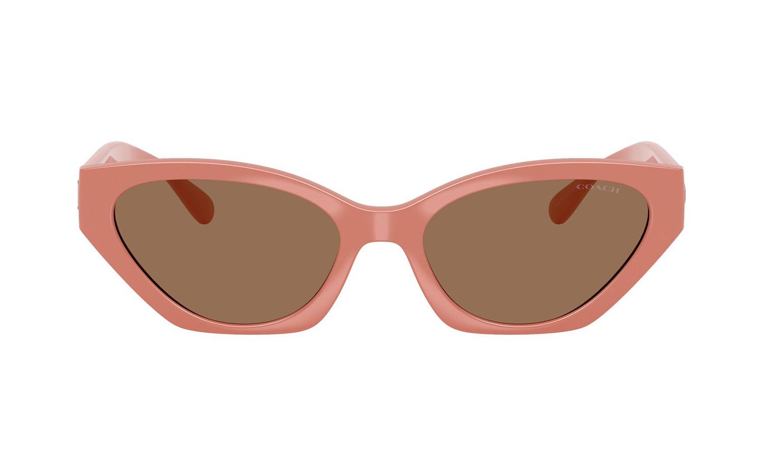 Gallery image for /media/thumbs/100x62.5/media/product_images/Coach-Sunglasses-HC8459U-595573-Bfw100fh62.5.jpg
