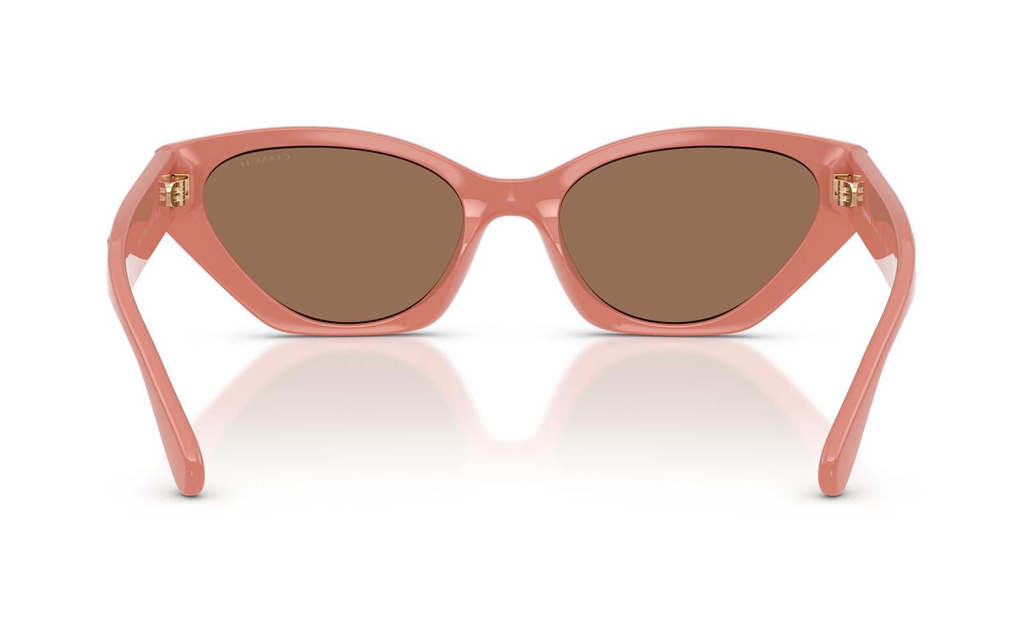 Gallery image for /media/thumbs/100x62.5/media/product_images/Coach-Sunglasses-HC8459U-595573-Dfw100fh62.5.jpg