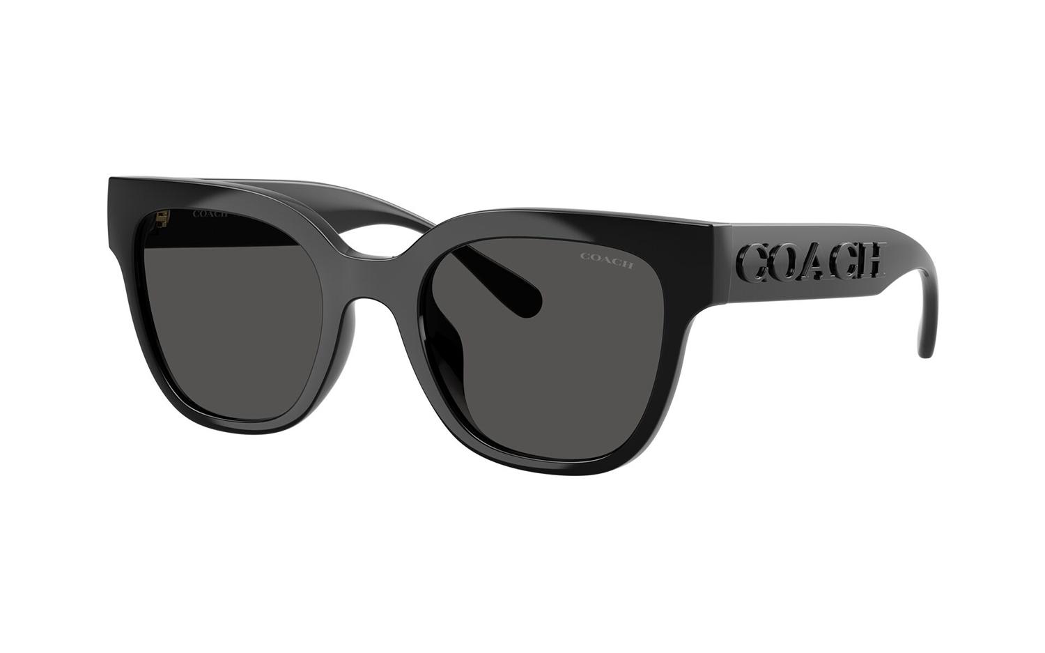 Gallery image for /media/thumbs/100x62.5/media/product_images/Coach-Sunglasses-HC8460U-500287-Afw100fh62.5.jpg