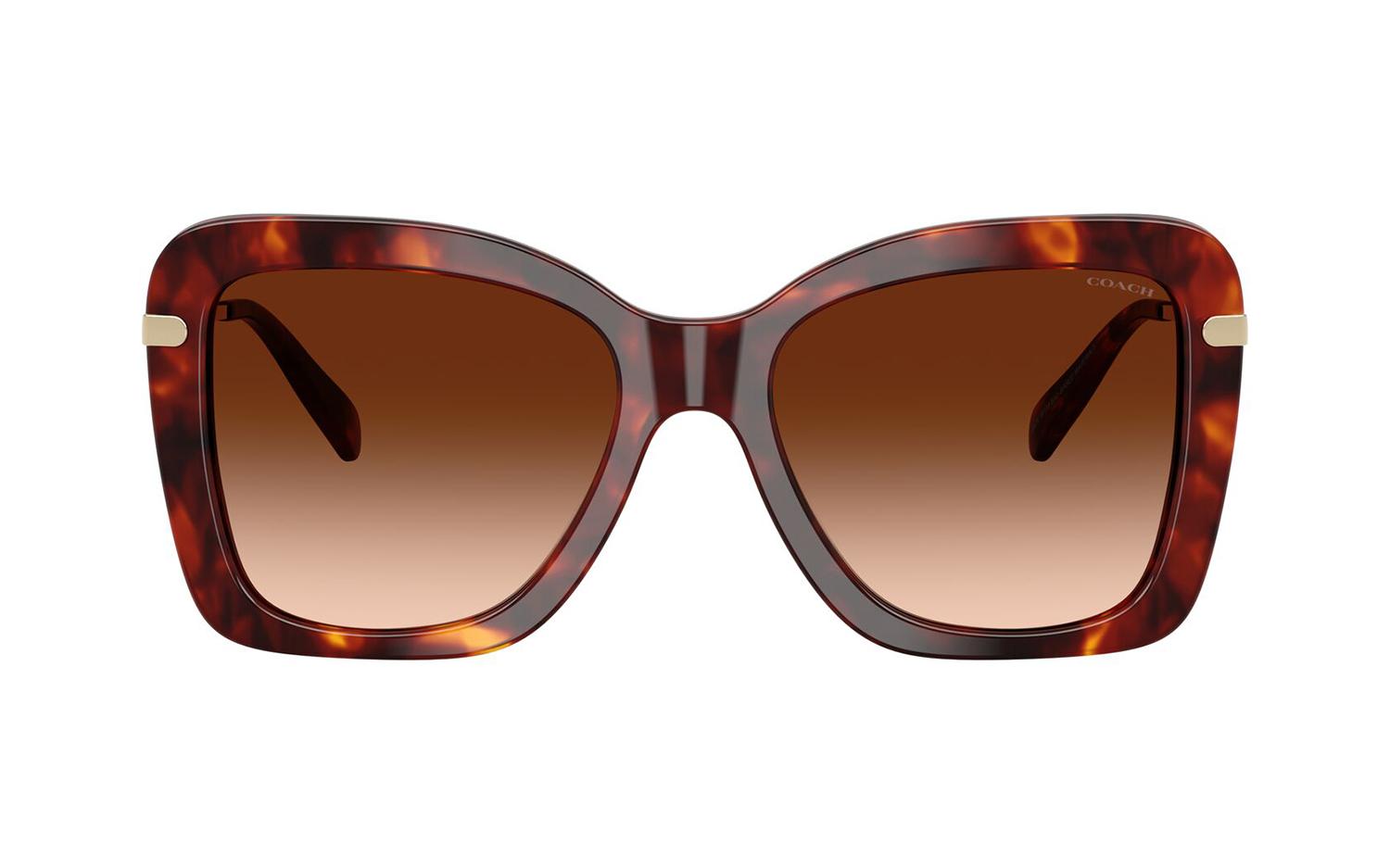 Gallery image for /media/thumbs/100x62.5/media/product_images/Coach-Sunglasses-HC8461U-593874-Bfw100fh62.5.jpg