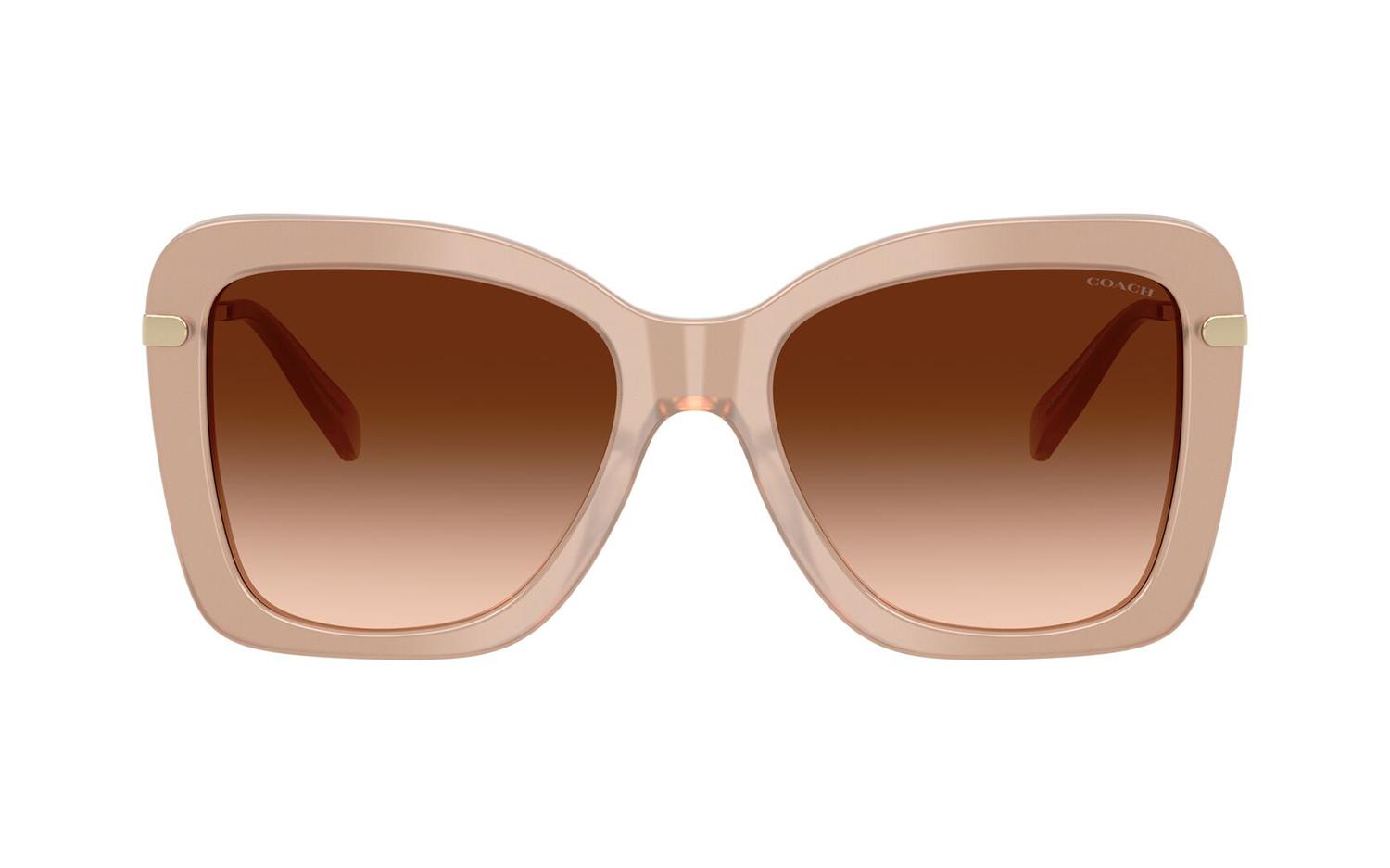 Gallery image for /media/thumbs/100x62.5/media/product_images/Coach-Sunglasses-HC8461U-598074-Bfw100fh62.5.jpg