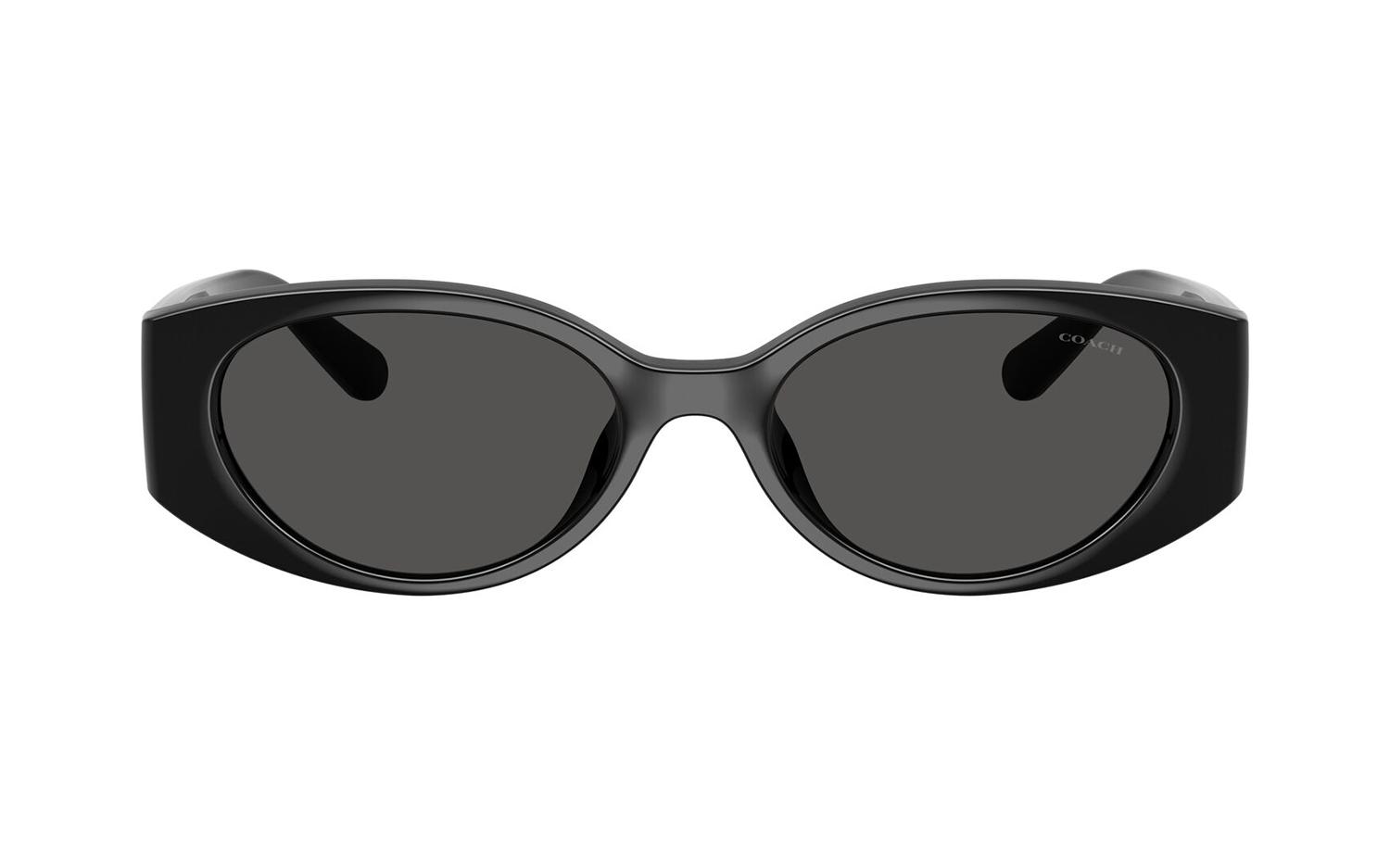 Gallery image for /media/thumbs/100x62.5/media/product_images/Coach-Sunglasses-HC8462U-500287-Bfw100fh62.5.jpg