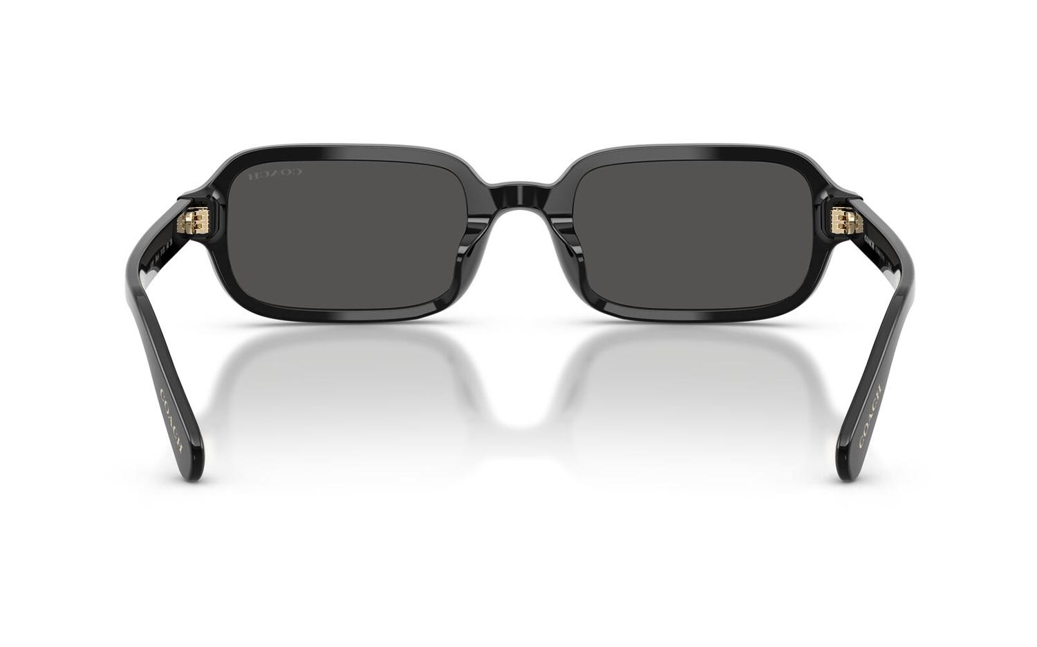 Gallery image for /media/thumbs/100x62.5/media/product_images/Coach-Sunglasses-HC8465U-500287-Dfw100fh62.5.jpg