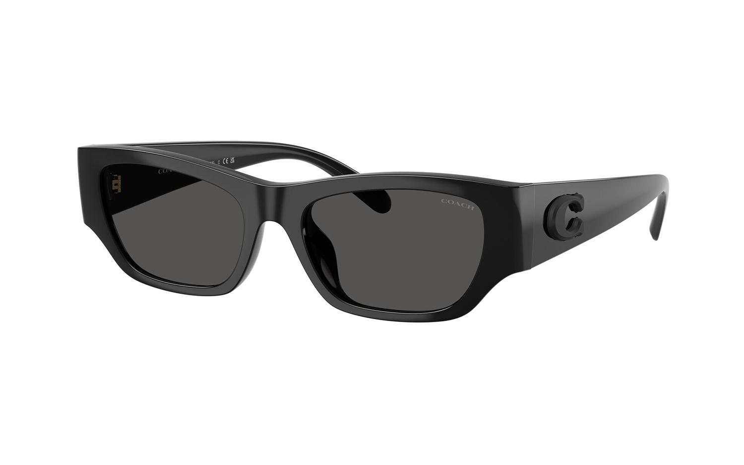 Gallery image for /media/thumbs/100x62.5/media/product_images/Coach-Sunglasses-HC847D-500287-Afw100fh62.5.jpg