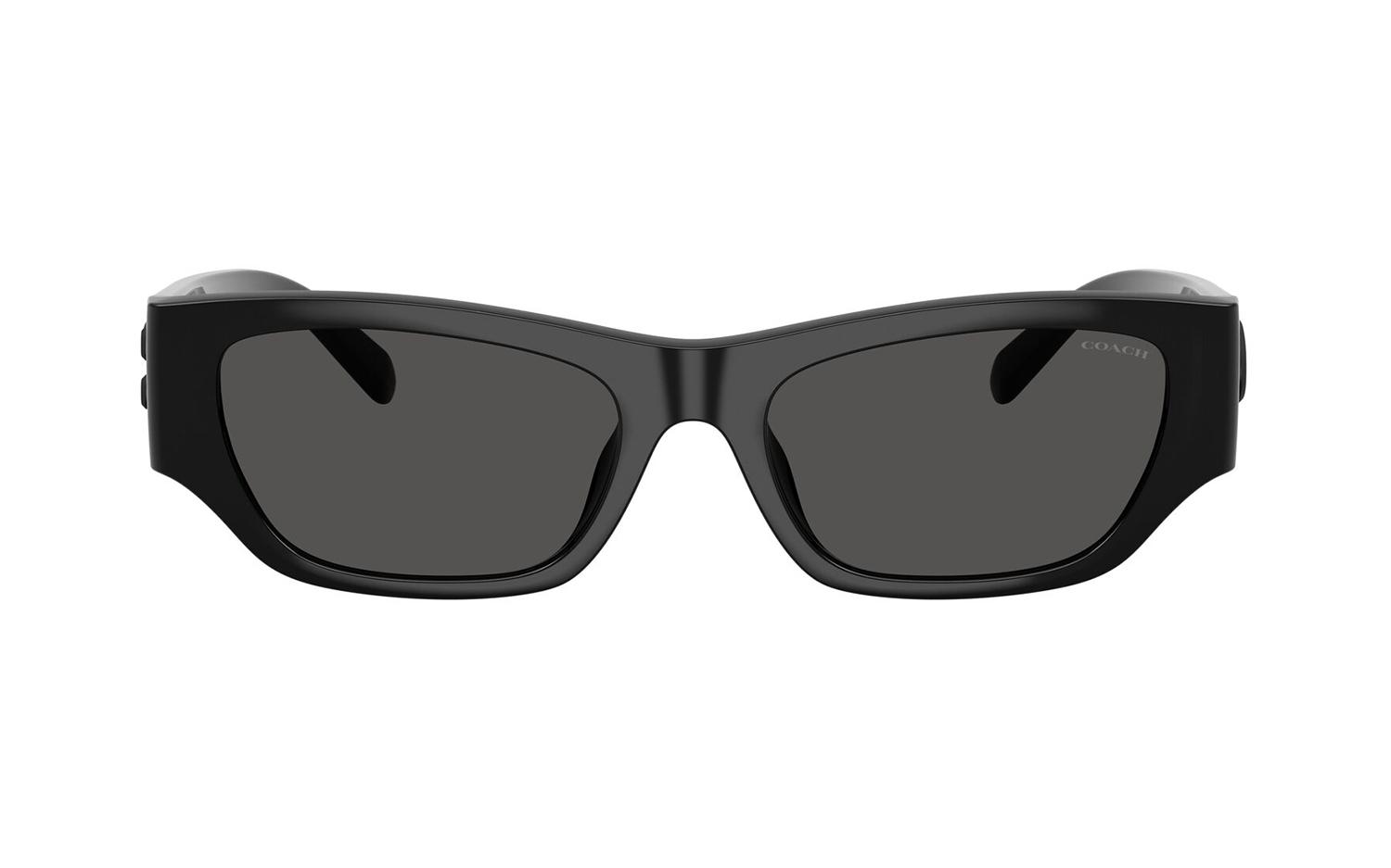 Gallery image for /media/thumbs/100x62.5/media/product_images/Coach-Sunglasses-HC847D-500287-Bfw100fh62.5.jpg