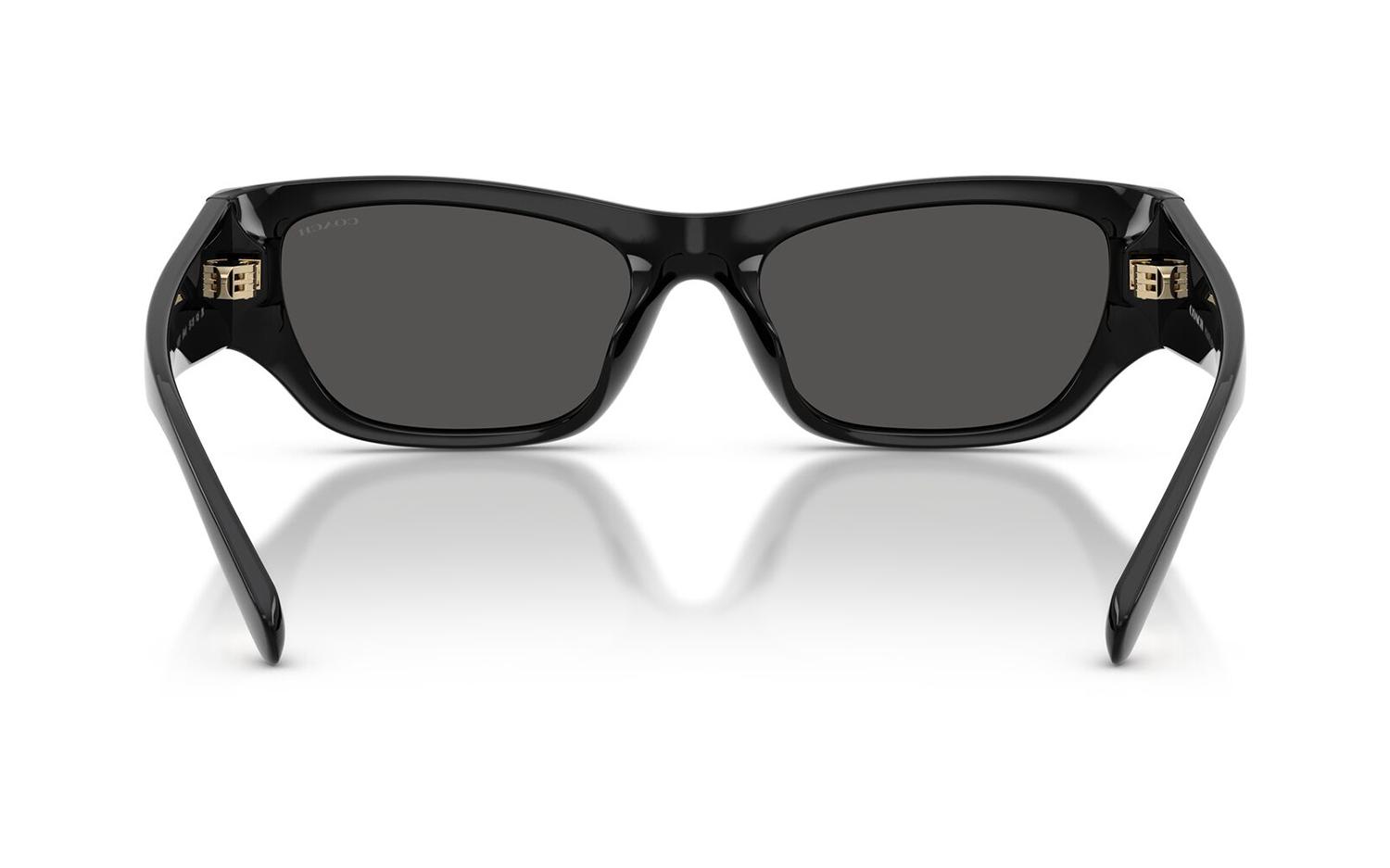 Gallery image for /media/thumbs/100x62.5/media/product_images/Coach-Sunglasses-HC847D-500287-Dfw100fh62.5.jpg