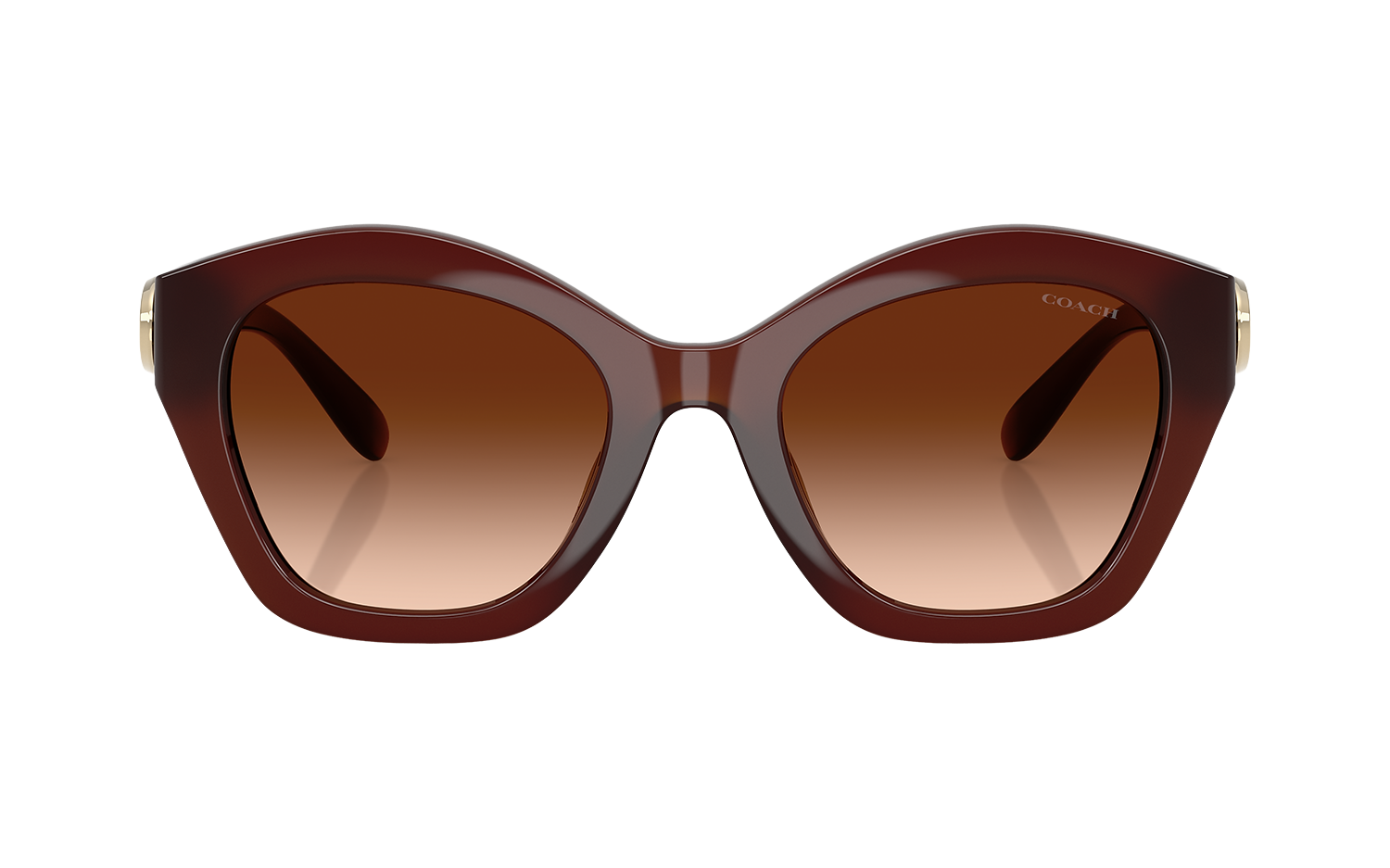 Gallery image for /media/thumbs/100x62.5/media/product_images/Coach-Sunglassses-HC8421U-584174-b-fw100fh62.5.png