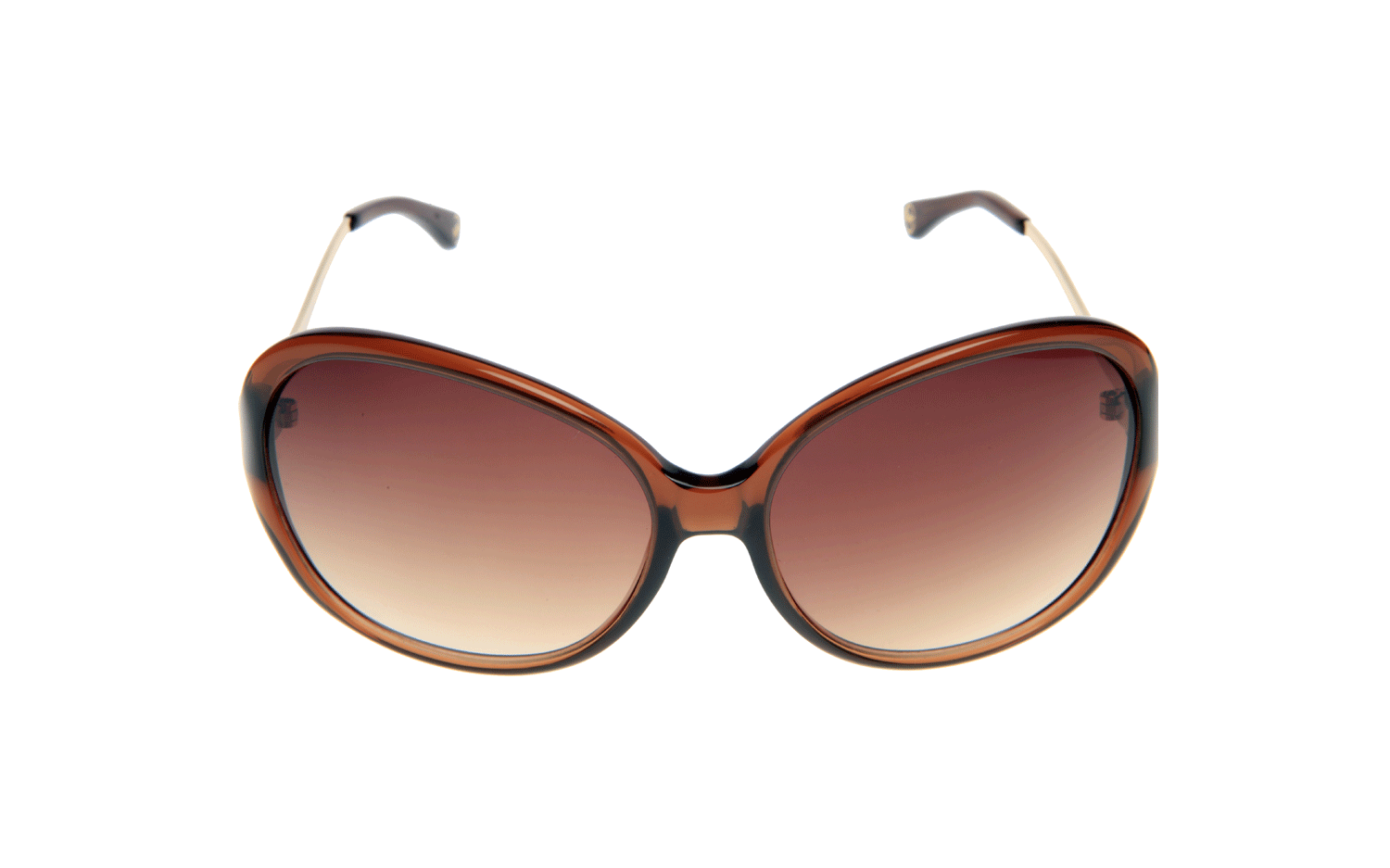 Michael Kors Drake Sunglasses