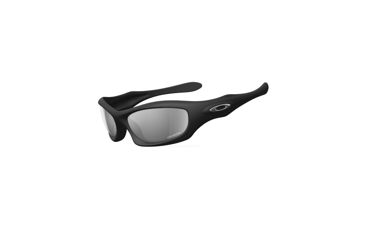 Monster dog sale sunglasses