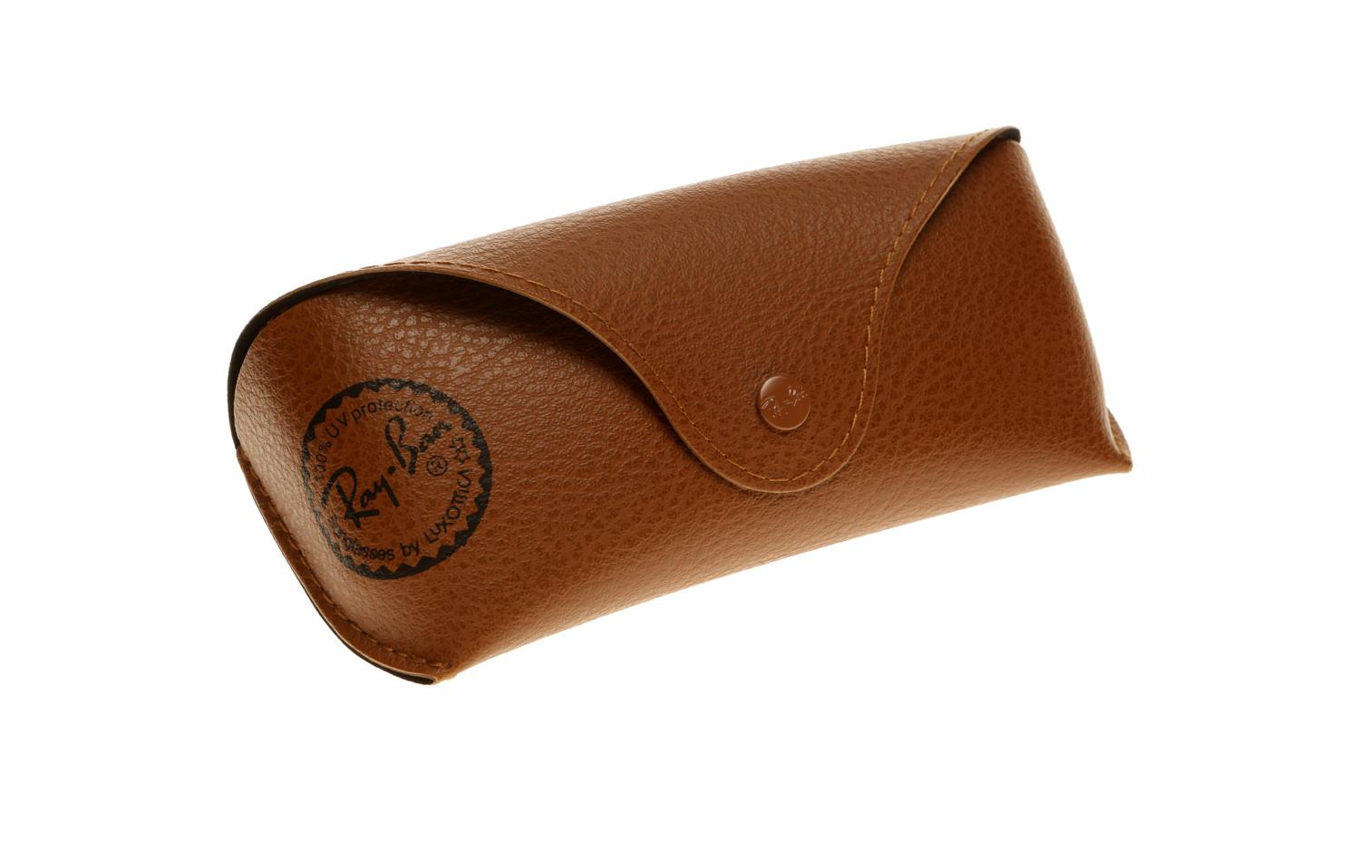 Ray Ban Standard Matte Textured Brown Case RAT240R00 RAT239N00