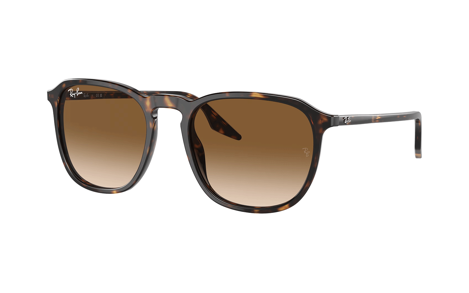 Ray-Ban RB2203 902/51 55 Sunglasses Shade Station