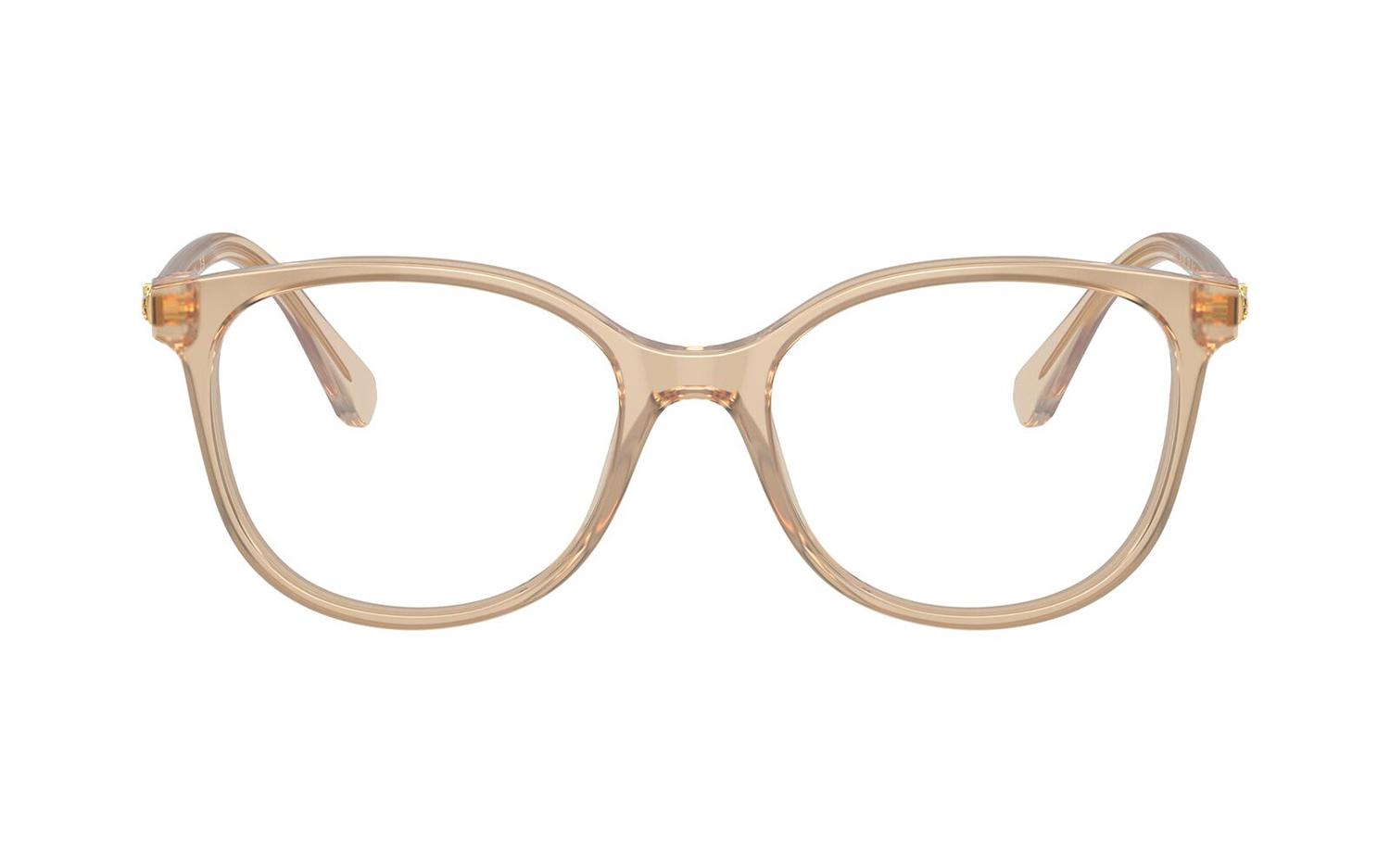 Gallery image for /media/thumbs/100x62.5/media/product_images/Swarovski-Glasses-SK2002-1034-frontfw100fh62.5.jpg