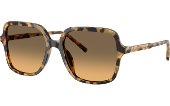 Dolce&Gabbana DG4539 Sunglasses