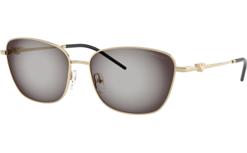 Emporio Armani EA2170 Sunglasses