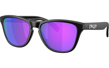 Oakley Frogskins S Sunglasses