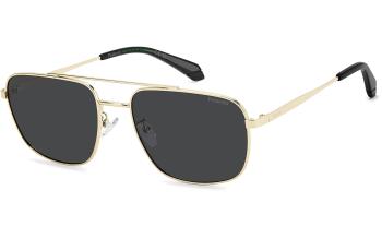 Polaroid PLD 4214/G/S/X Sunglasses