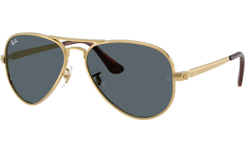 Ray-Ban Aviator Max RB3925 Sunglasses